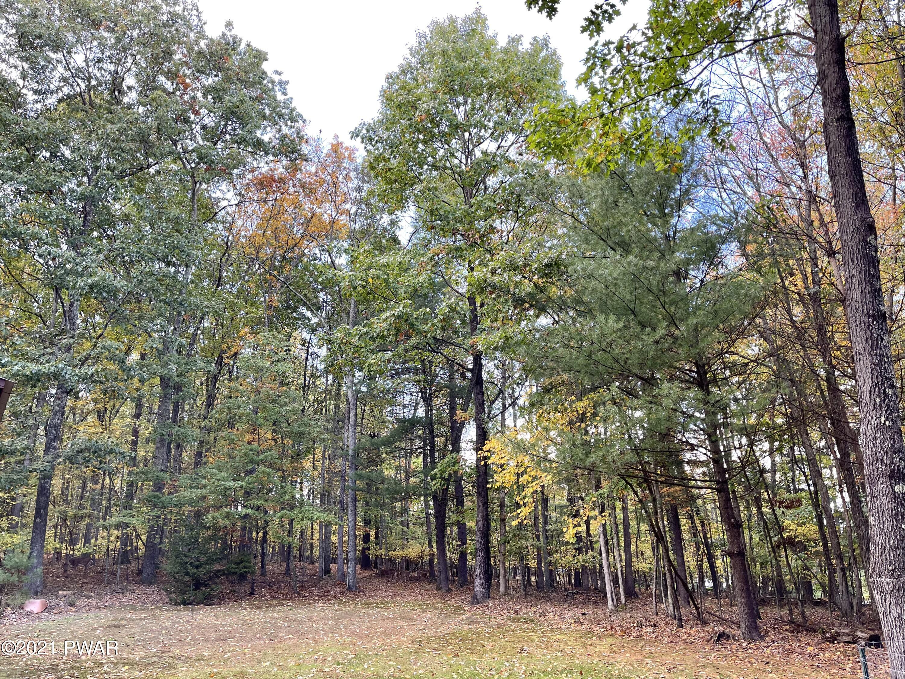 124 Butch's Road Hawley, PA 18428 - Photo 25 of 55 030758B5-5A81-4512-9B0F-1A88541778A8