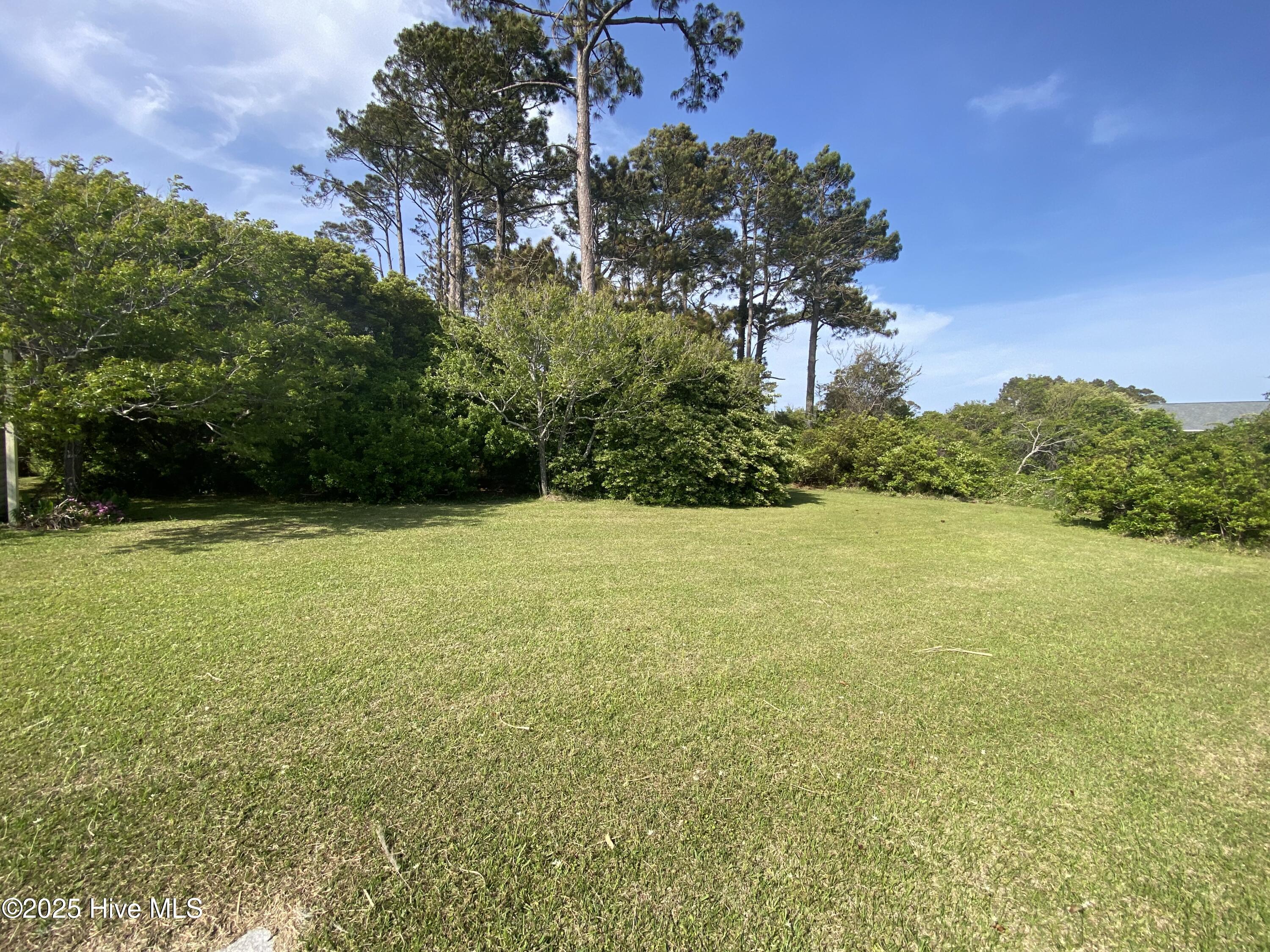 340 Sleepy Point Road Gloucester, NC 28528 - Photo 4 of 17 Partially cleared