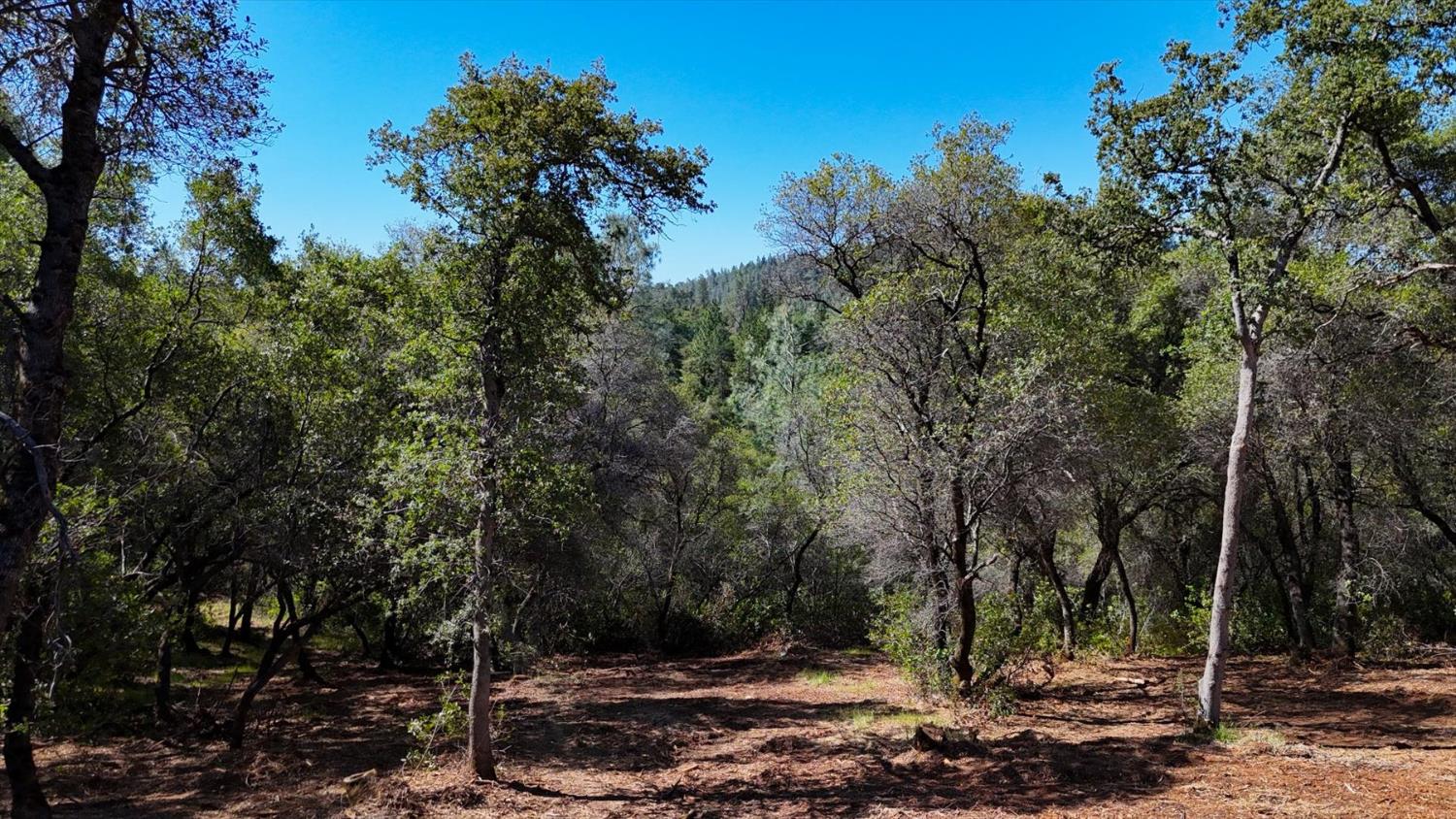 0 Southridge Road Penn Valley, CA 95946 - Photo 21 of 72