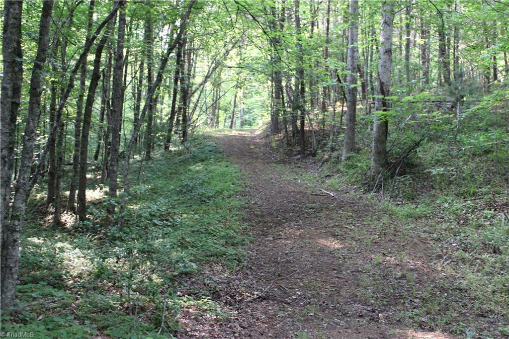 2541 Collinstown Road Westfield, NC 27053 - Photo 20 of 50