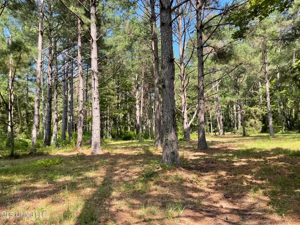 $325,000 | 10290 County Road 4306, Union, MS 39365