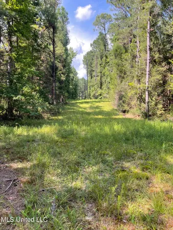 $325,000 | 10290 County Road 4306, Union, MS 39365