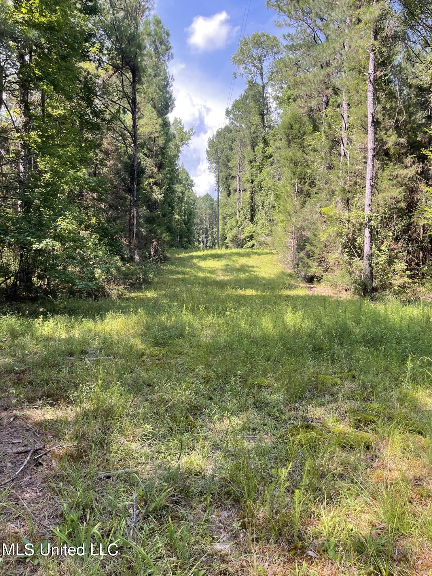 10290 County Road 4306 Union, MS 39365 - Photo 12 of 47 IMG_1499