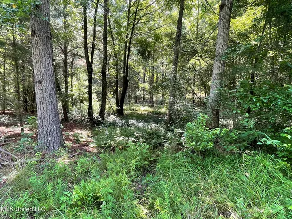 $325,000 | 10290 County Road 4306, Union, MS 39365
