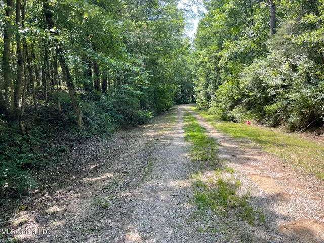 $325,000 | 10290 County Road 4306, Union, MS 39365