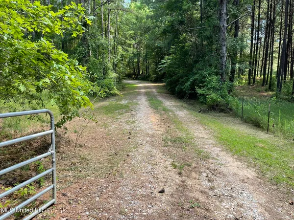 $325,000 | 10290 County Road 4306, Union, MS 39365