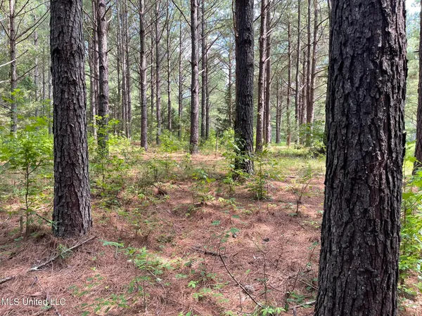 $325,000 | 10290 County Road 4306, Union, MS 39365