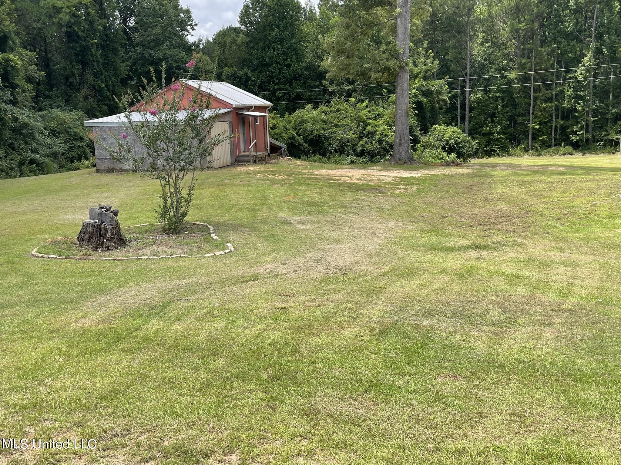 10290 County Road 4306 Union, MS 39365 - Photo 41 of 47 IMG_1726