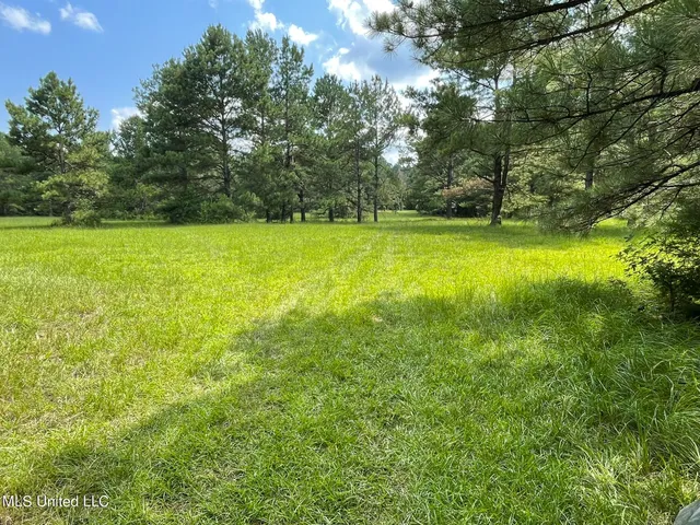 $325,000 | 10290 County Road 4306, Union, MS 39365