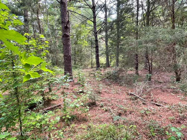 $325,000 | 10290 County Road 4306, Union, MS 39365