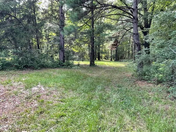 $325,000 | 10290 County Road 4306, Union, MS 39365