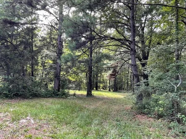 $325,000 | 10290 County Road 4306, Union, MS 39365