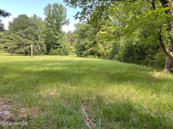 $325,000 | 10290 County Road 4306, Union, MS 39365