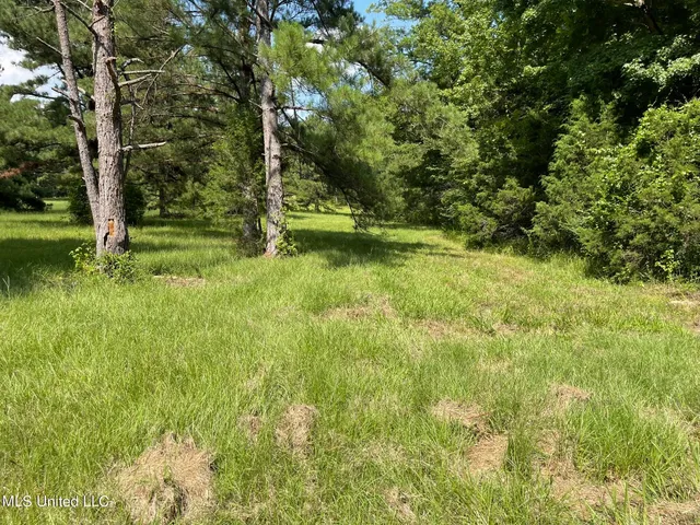 $325,000 | 10290 County Road 4306, Union, MS 39365