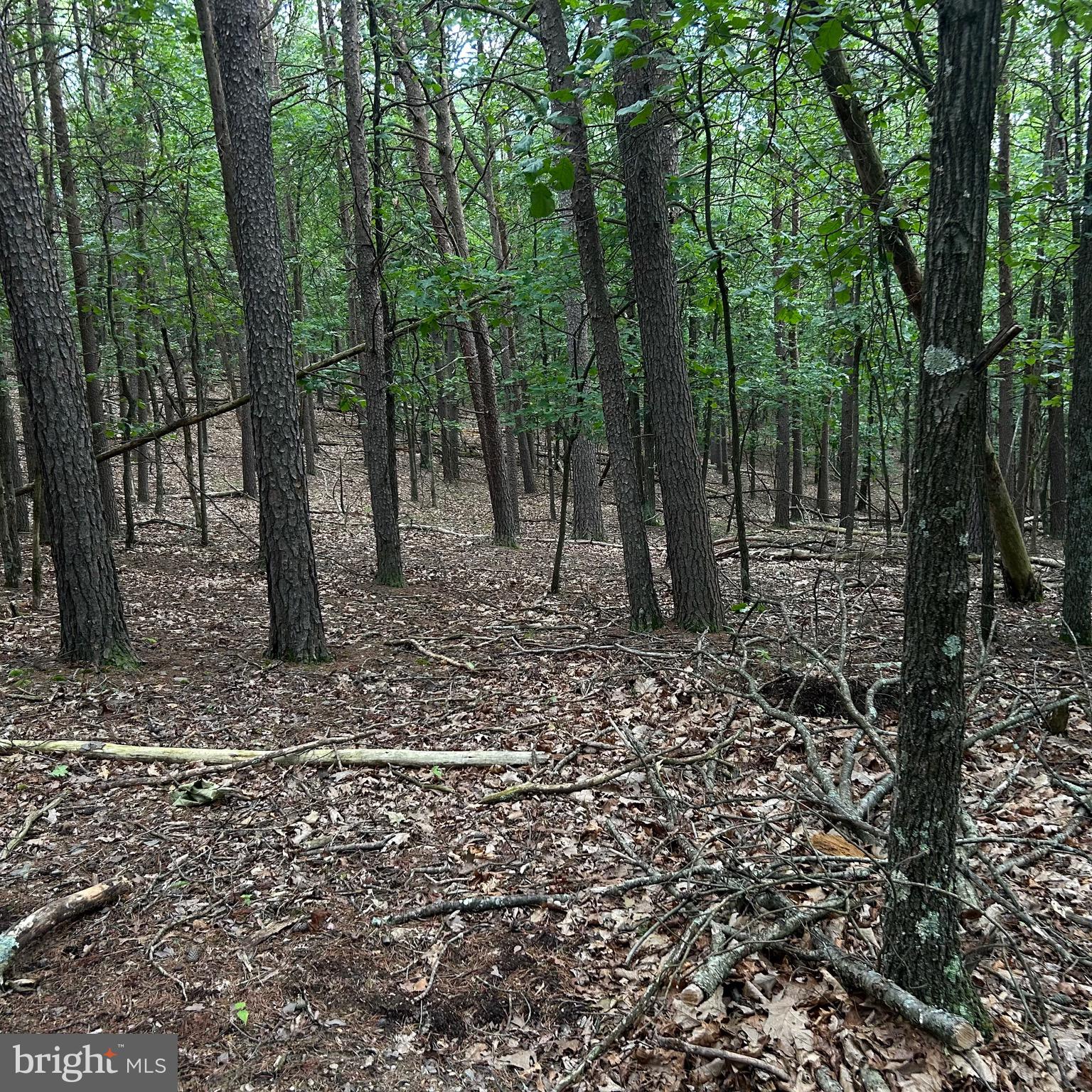 0 Headsville Road Keyser, WV 26726 - Photo 41 of 46