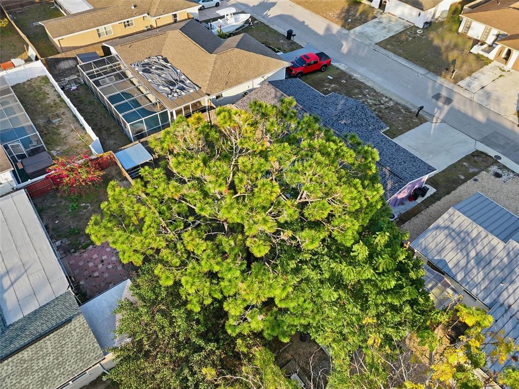 9101 Hunt Club Lane Port Richey, FL 34668 - Photo 8 of 37