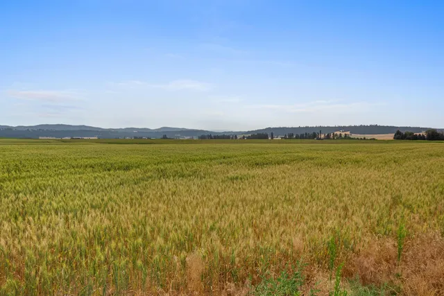 $299,900 | Nka North Bruce Road, Unit LOT 3, Mead, WA 99021