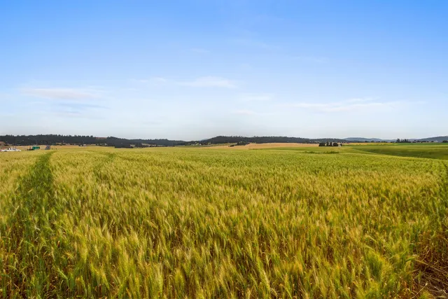 $299,900 | Nka North Bruce Road, Unit LOT 3, Mead, WA 99021