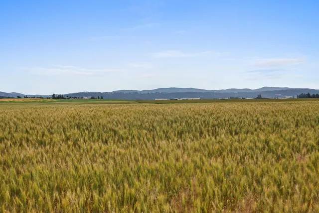 $299,900 | Nka North Bruce Road, Unit LOT 3, Mead, WA 99021