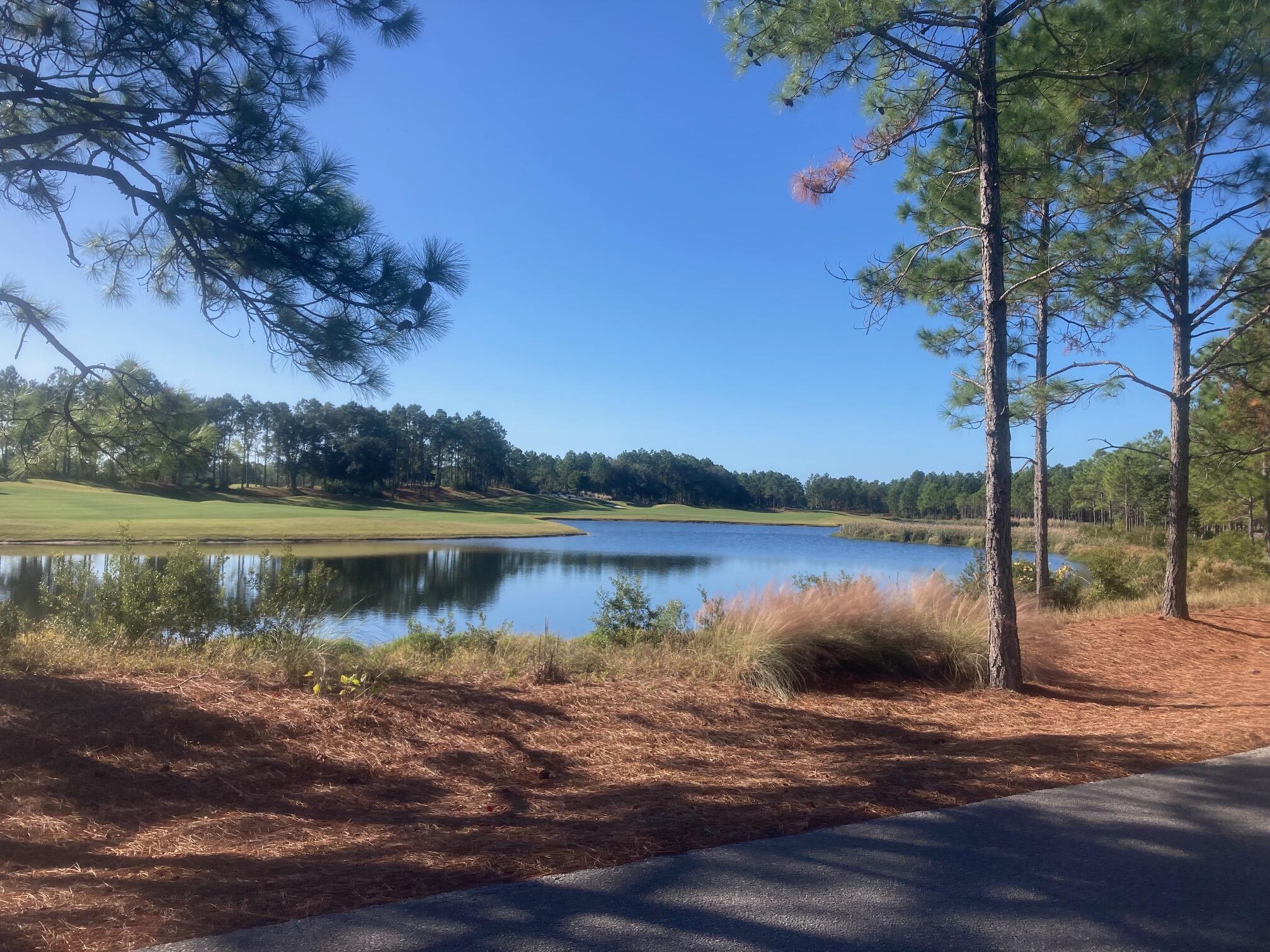 Lot 13 Golfridge Drive Watersound, FL 32461 - Photo 13 of 14 a view of a lake view