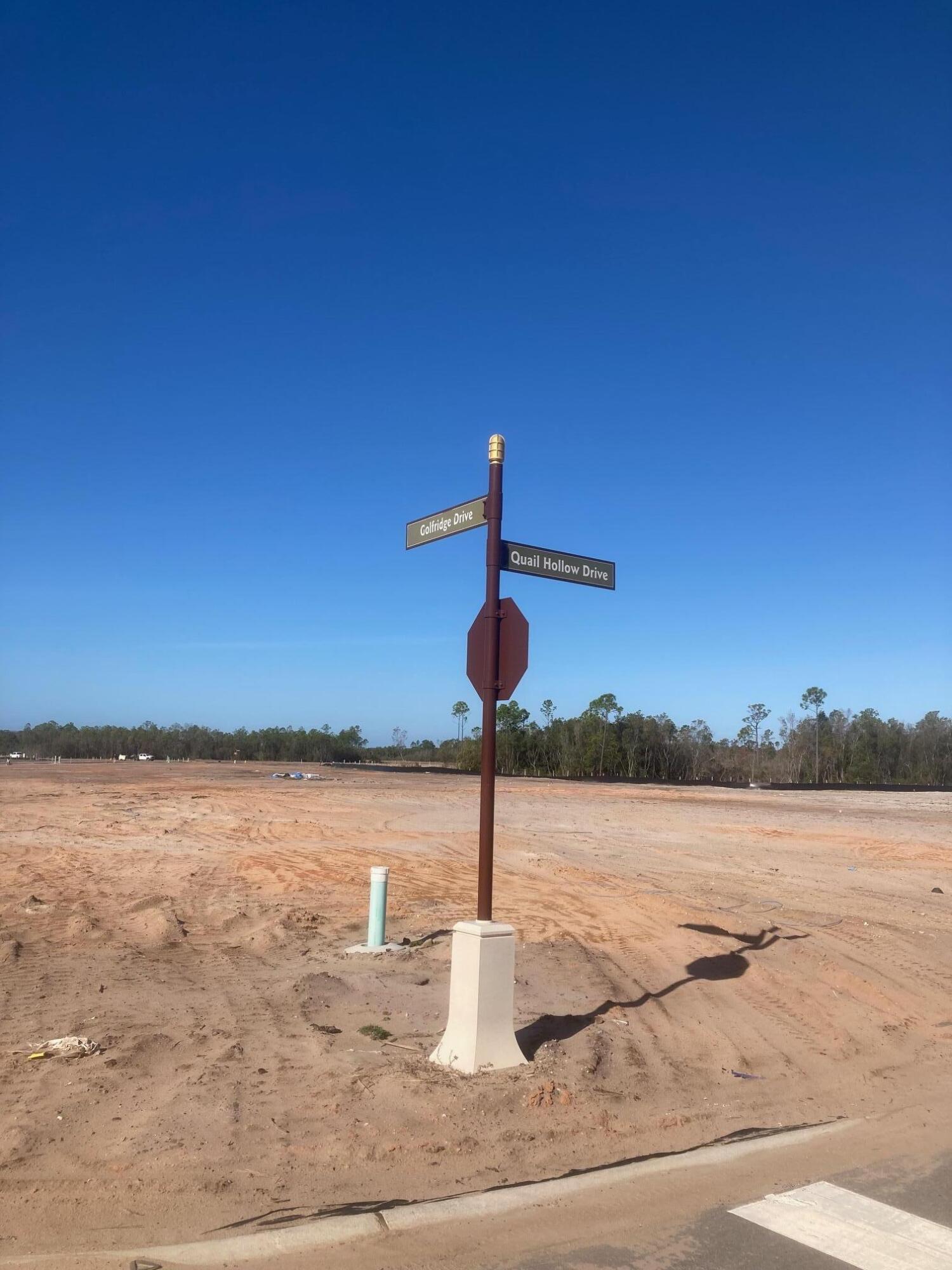 Lot 13 Golfridge Drive Watersound, FL 32461 - Photo 9 of 14 a swimming pool with a view of house in background
