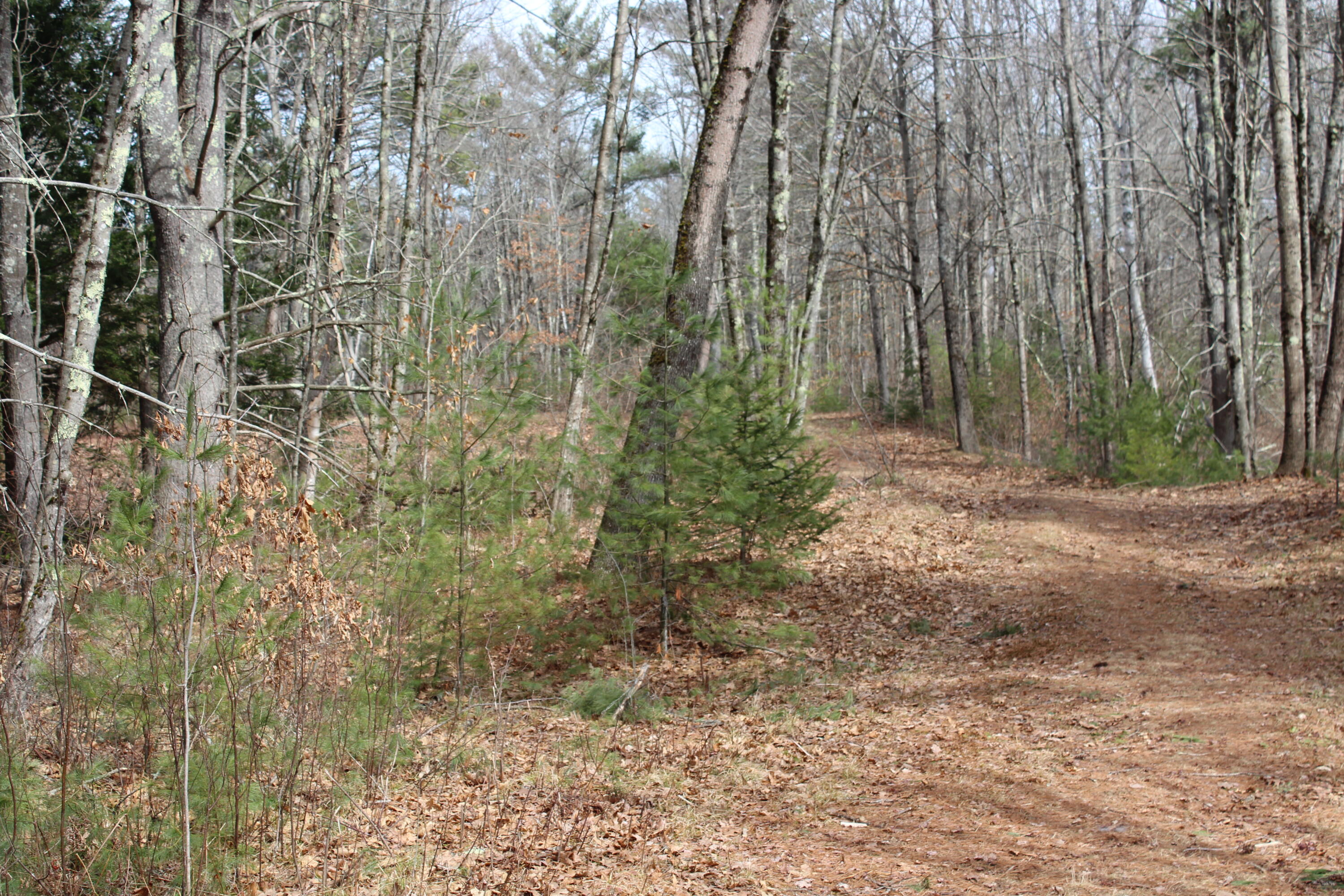 Lot 00 Knight Farm Road Kennebunk, ME 04043 - Photo 11 of 15 Easily Accessible Farm Road