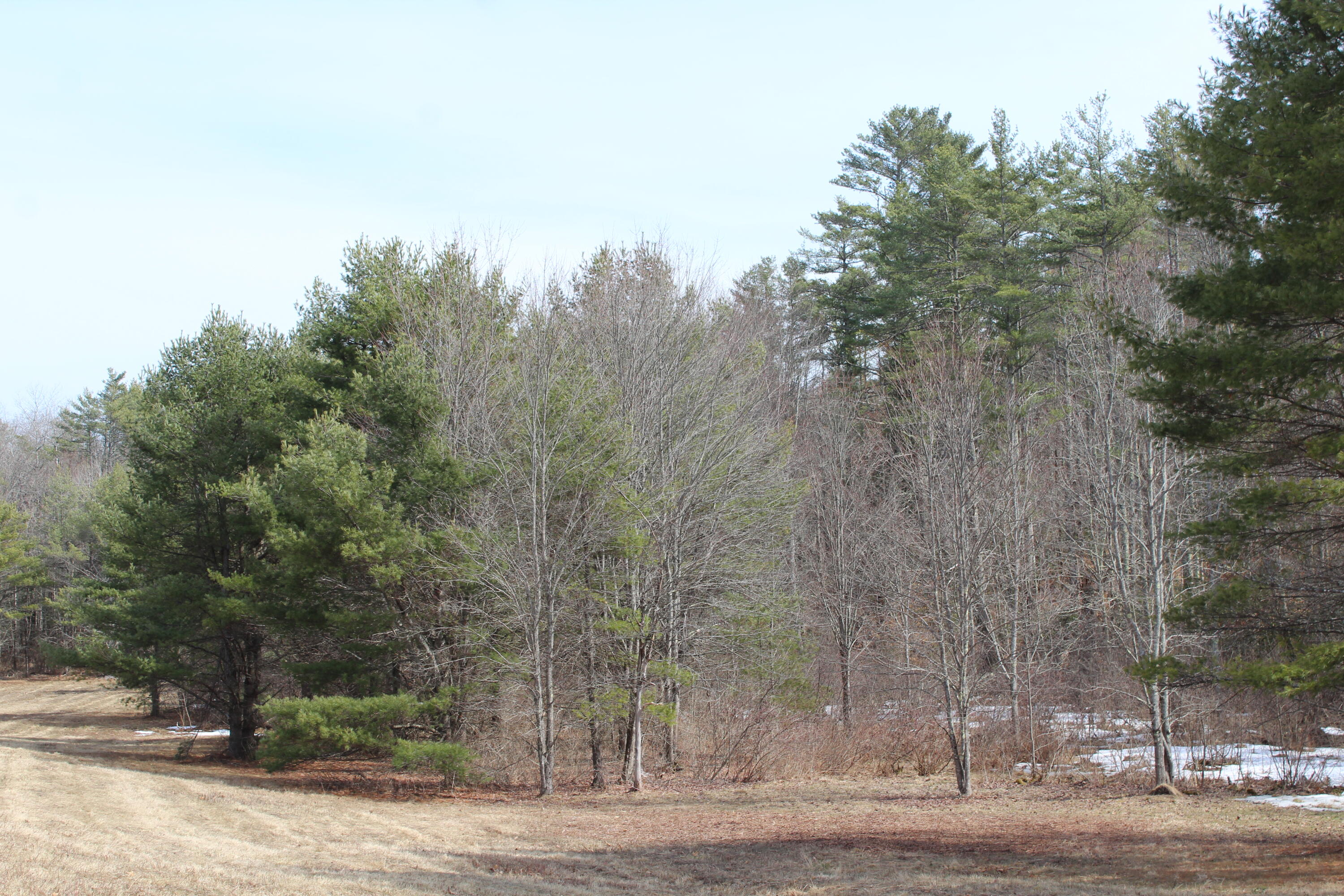 Lot 00 Knight Farm Road Kennebunk, ME 04043 - Photo 14 of 15 Private, Wooded Lot
