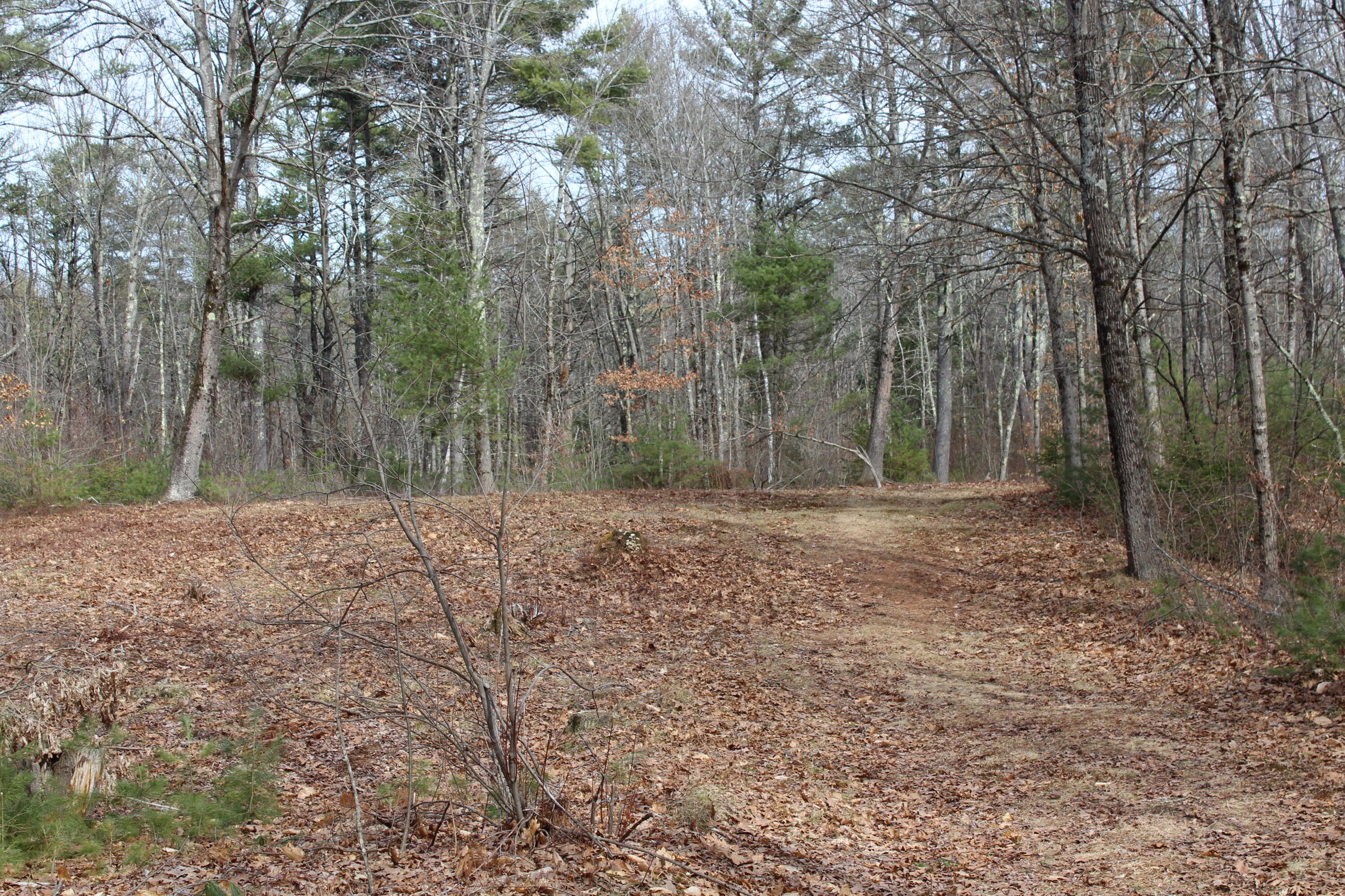 Lot 00 Knight Farm Road Kennebunk, ME 04043 - Photo 2 of 15 Level Building Envelope!