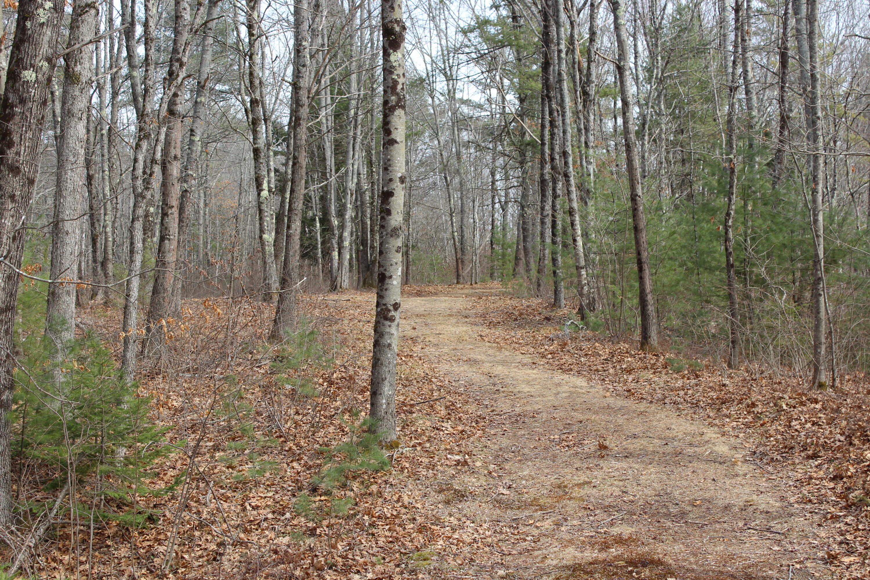Lot 00 Knight Farm Road Kennebunk, ME 04043 - Photo 3 of 15 Easily Accessible Farm Road