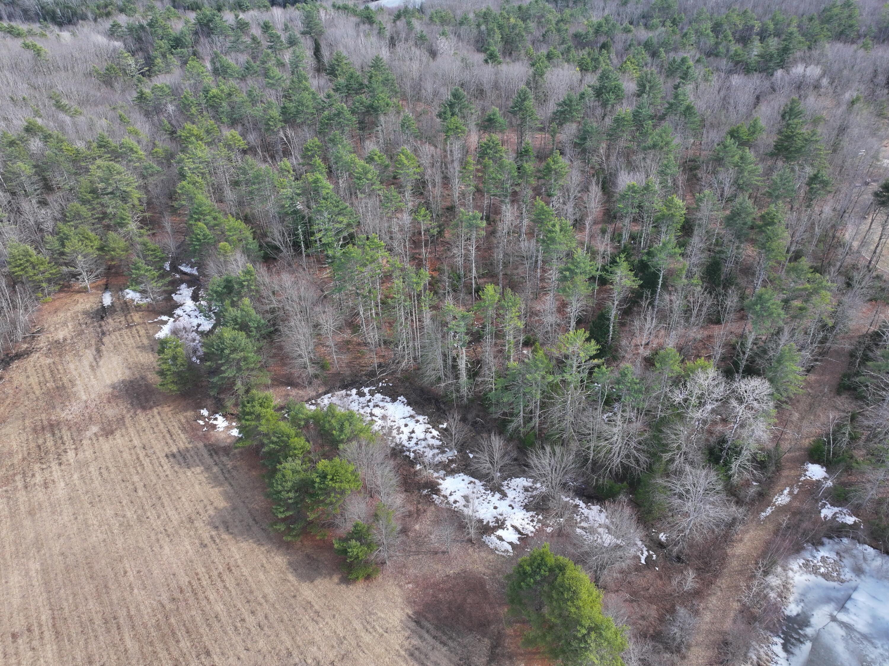 Lot 00 Knight Farm Road Kennebunk, ME 04043 - Photo 5 of 15 Private, Wooded Lot