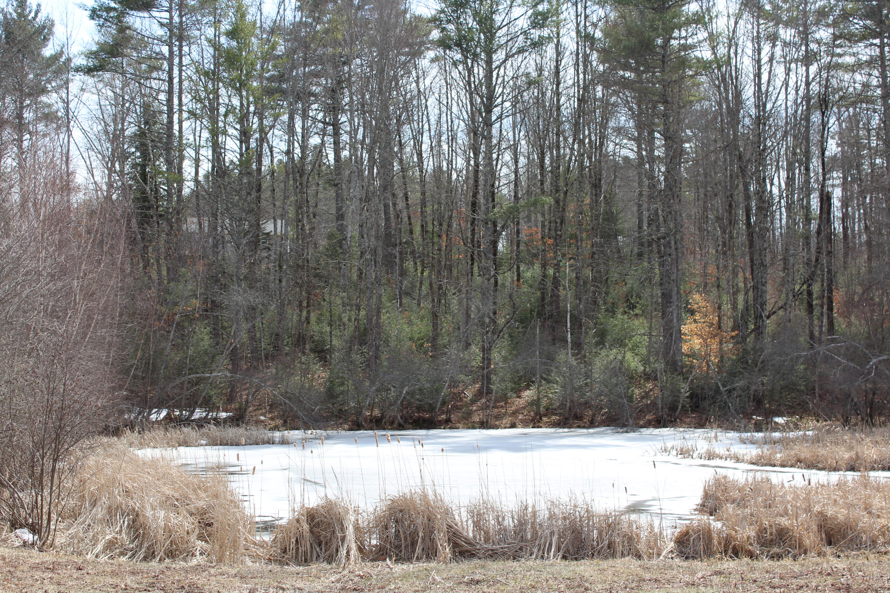 Lot 00 Knight Farm Road Kennebunk, ME 04043 - Photo 7 of 15 Stream Frontage from Farm Pond