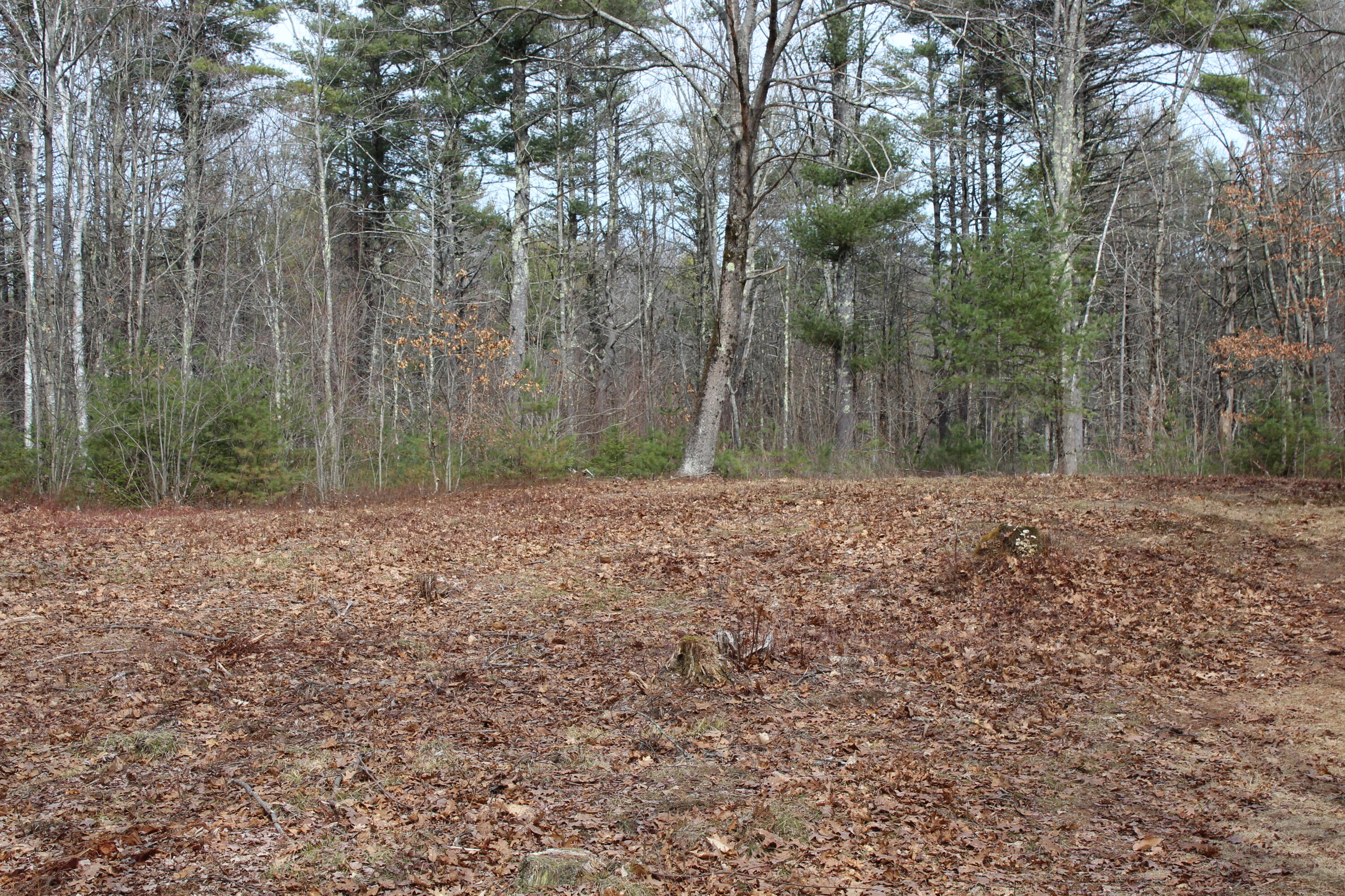 Lot 00 Knight Farm Road Kennebunk, ME 04043 - Photo 8 of 15 Level Building Envelope!