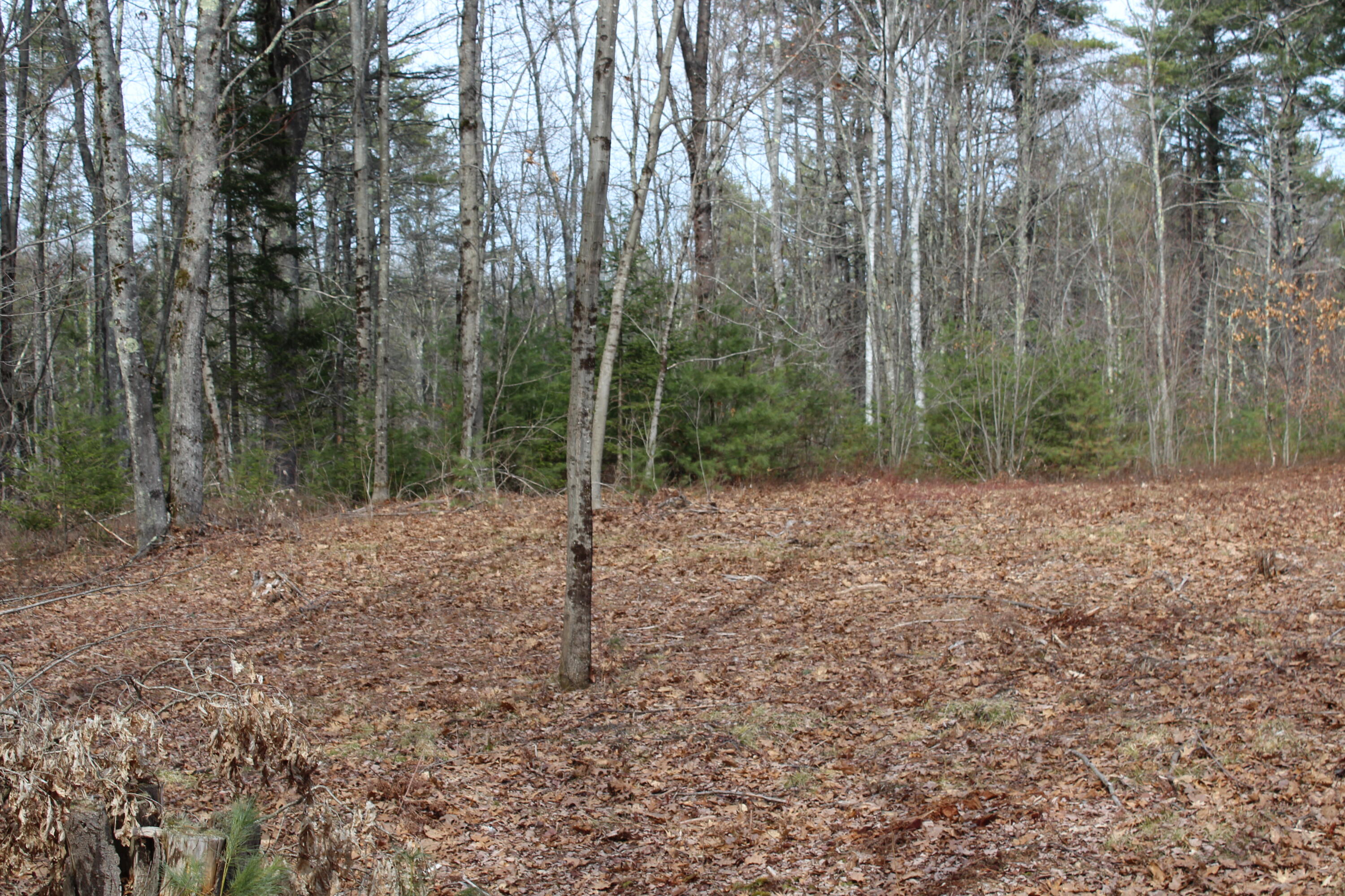 Lot 00 Knight Farm Road Kennebunk, ME 04043 - Photo 9 of 15 Level Building Envelope!