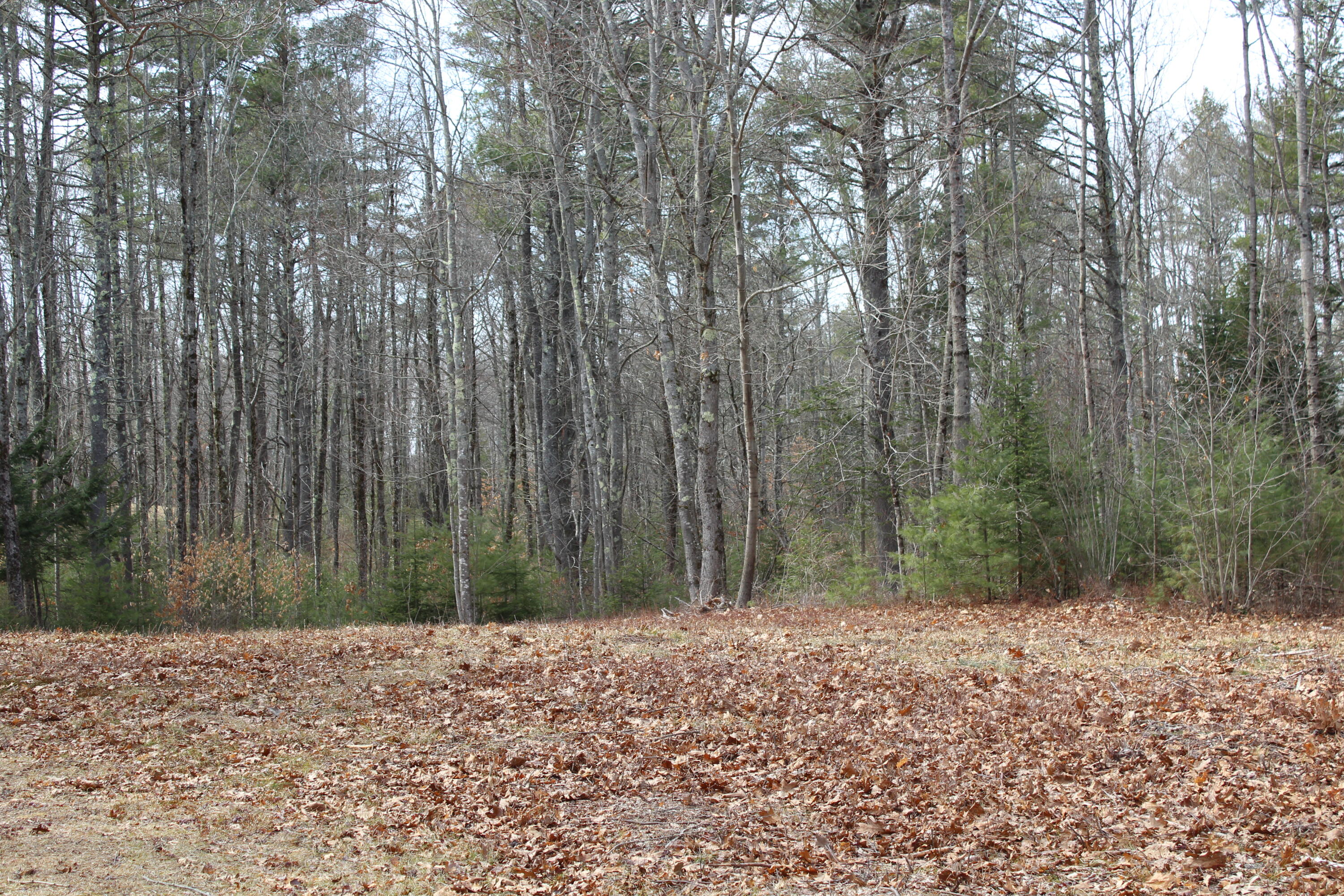 Lot 00 Knight Farm Road Kennebunk, ME 04043 - Photo 10 of 15 Level Building Envelope!
