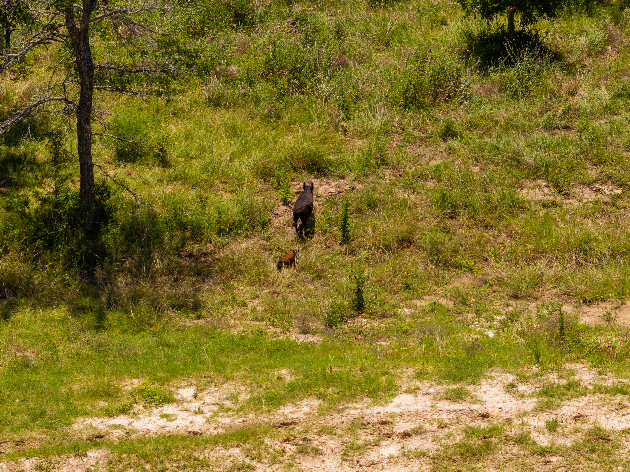 180 72 Ac Road Purmela, TX 76566 - Photo 11 of 33