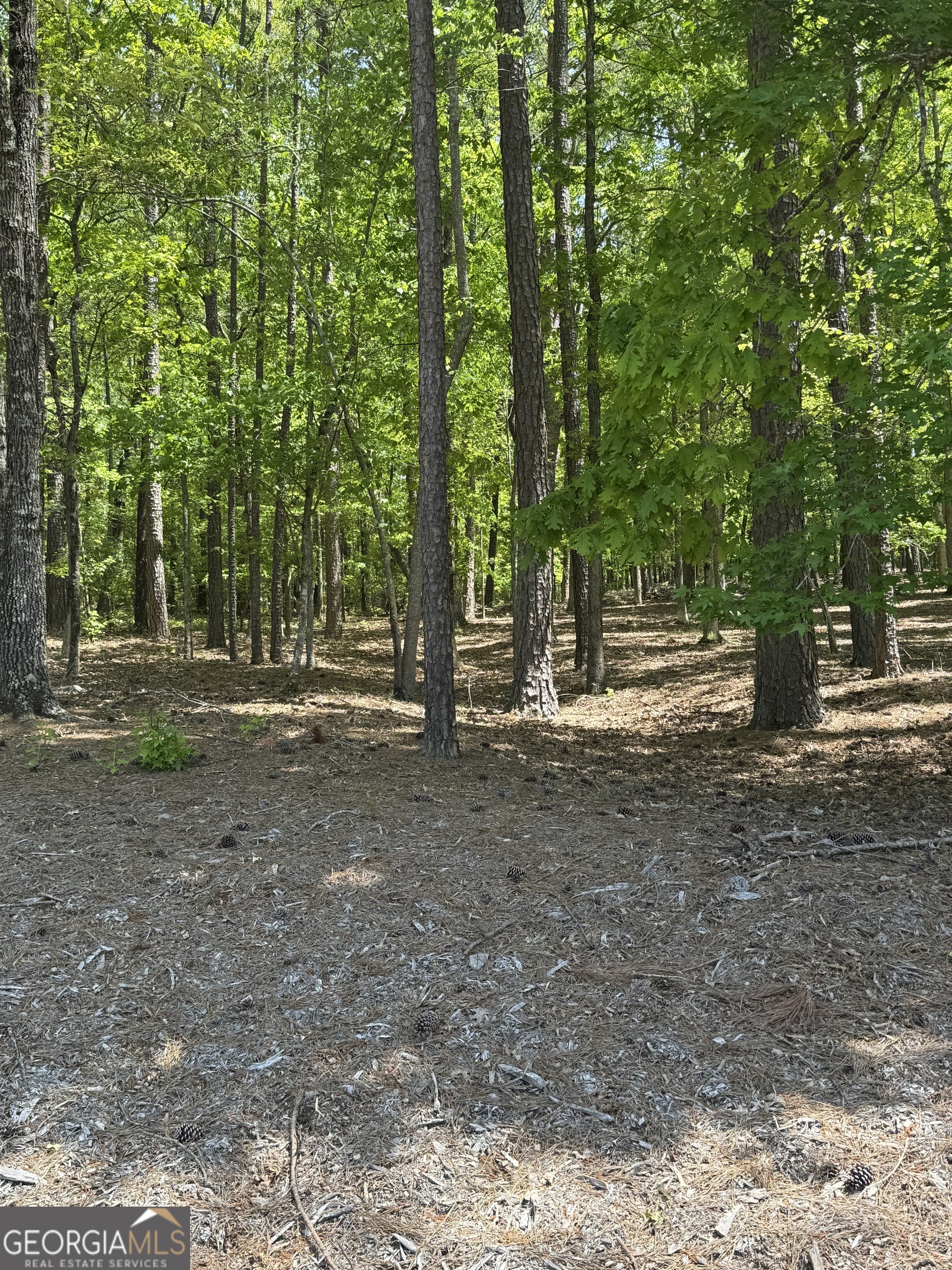 910 Rao Drive Monroe, GA 30655 - Photo 1 of 1 Gallery Image 1