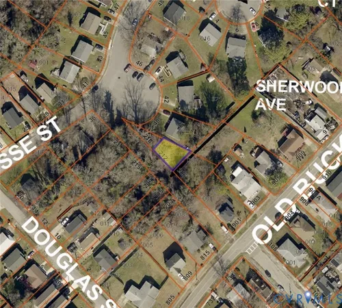 a view of a yard with plants and trees