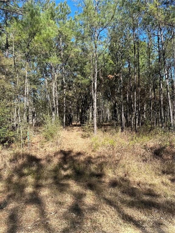 Lot D-2 John T Prats Road Covington, LA 70435 - Photo 1 of 6 Gallery Image 1