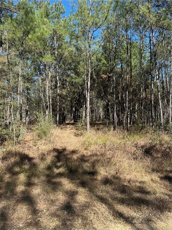 Lot D-2 John T Prats Road Covington, LA 70435 - Photo 2 of 6 Gallery Image 2