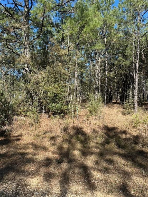 Lot D-2 John T Prats Road Covington, LA 70435 - Photo 3 of 6 Gallery Image 3