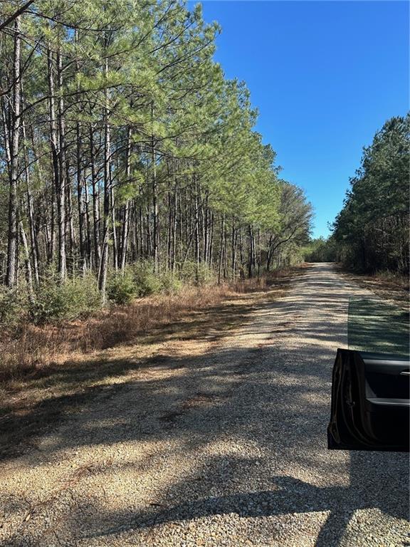 Lot D-2 John T Prats Road Covington, LA 70435 - Photo 4 of 6 Gallery Image 4