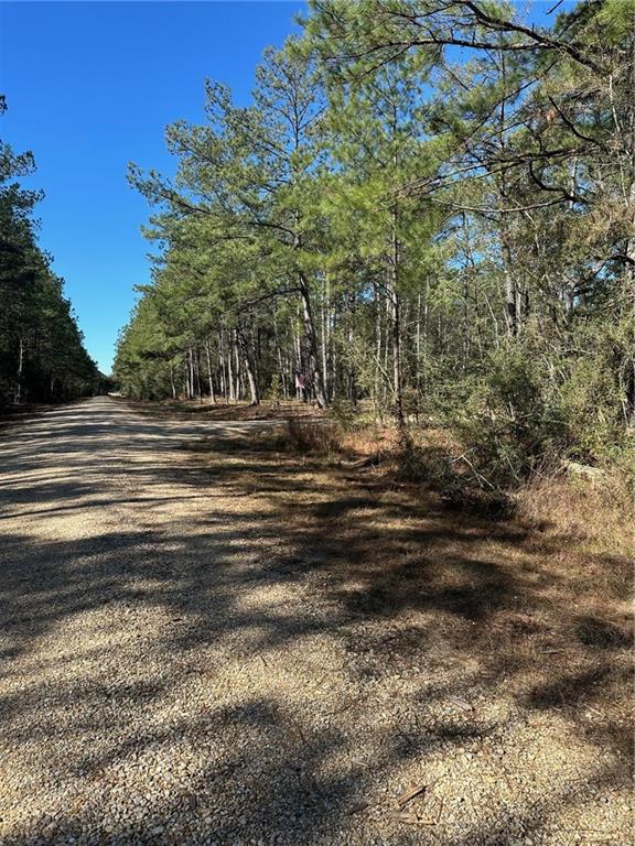 Lot D-2 John T Prats Road Covington, LA 70435 - Photo 5 of 6 Gallery Image 5