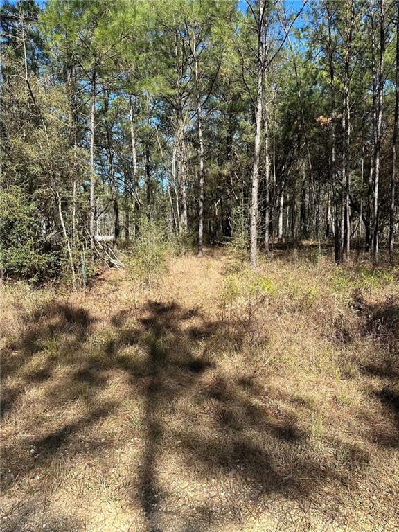 Lot D-2 John T Prats Road Covington, LA 70435 - Photo 6 of 6 Gallery Image 6