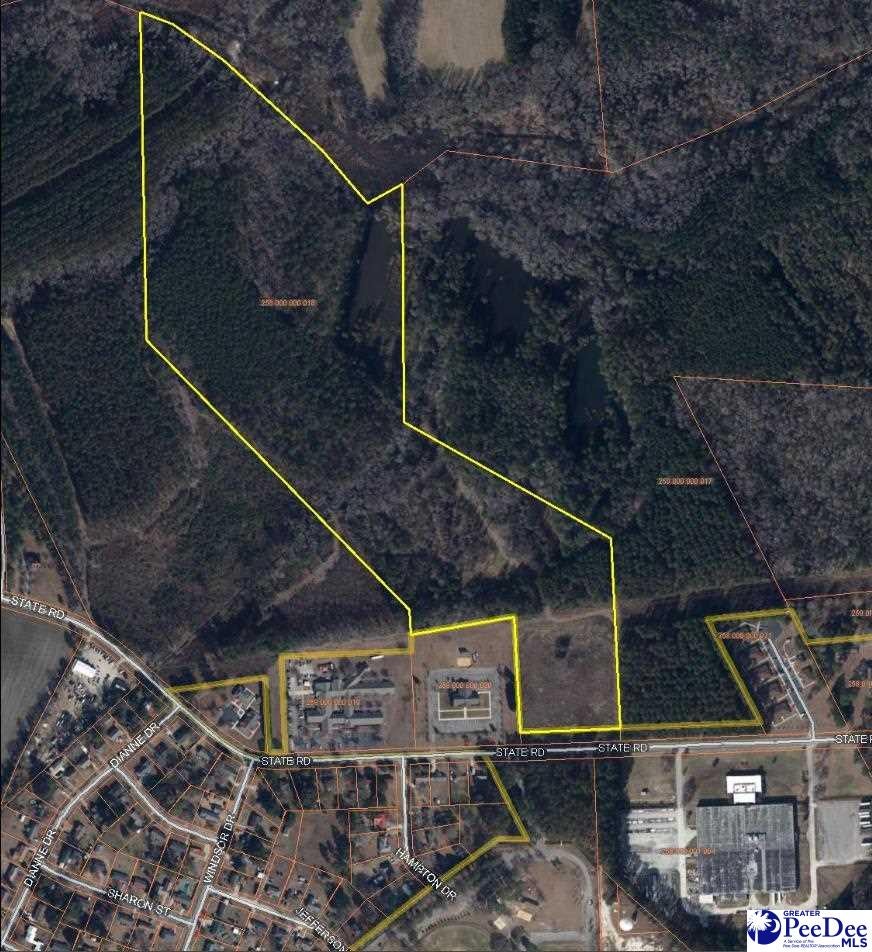 Tbd State Road Cheraw, SC 29520 - Photo 1 of 1 Gallery Image 1