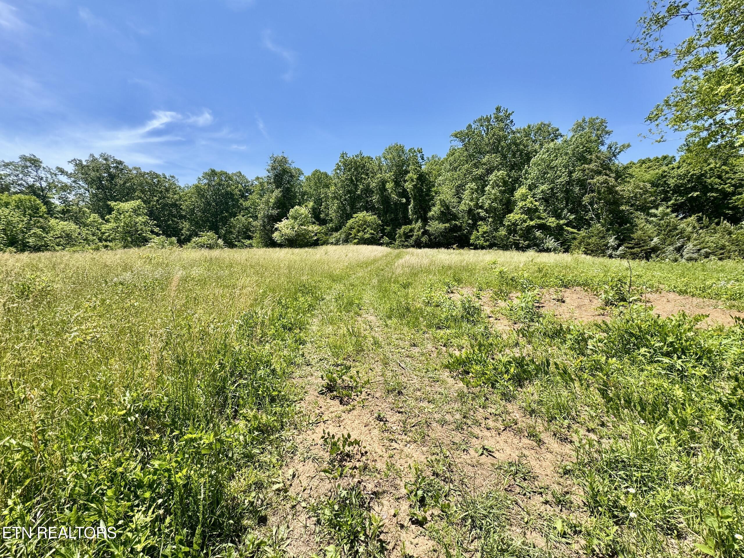 Ridgeview Drive Clinton, TN 37716 - Photo 1 of 15 2-1