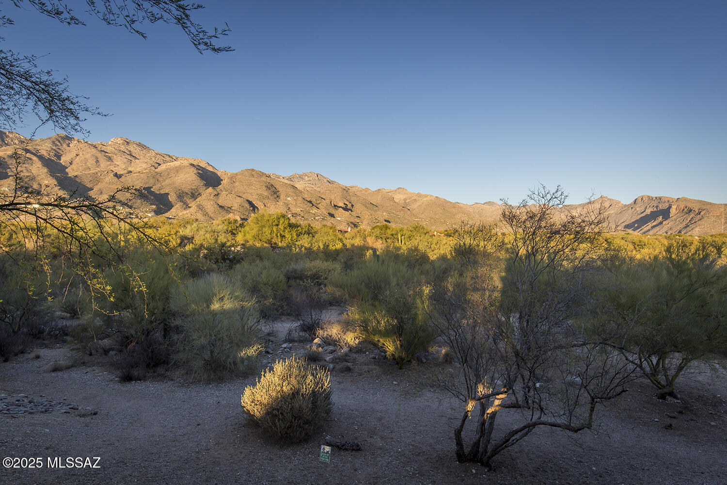 5800 North Kolb Road, Unit 13271 Tucson, AZ 85750 - Photo 31 of 39 Gallery Image 31