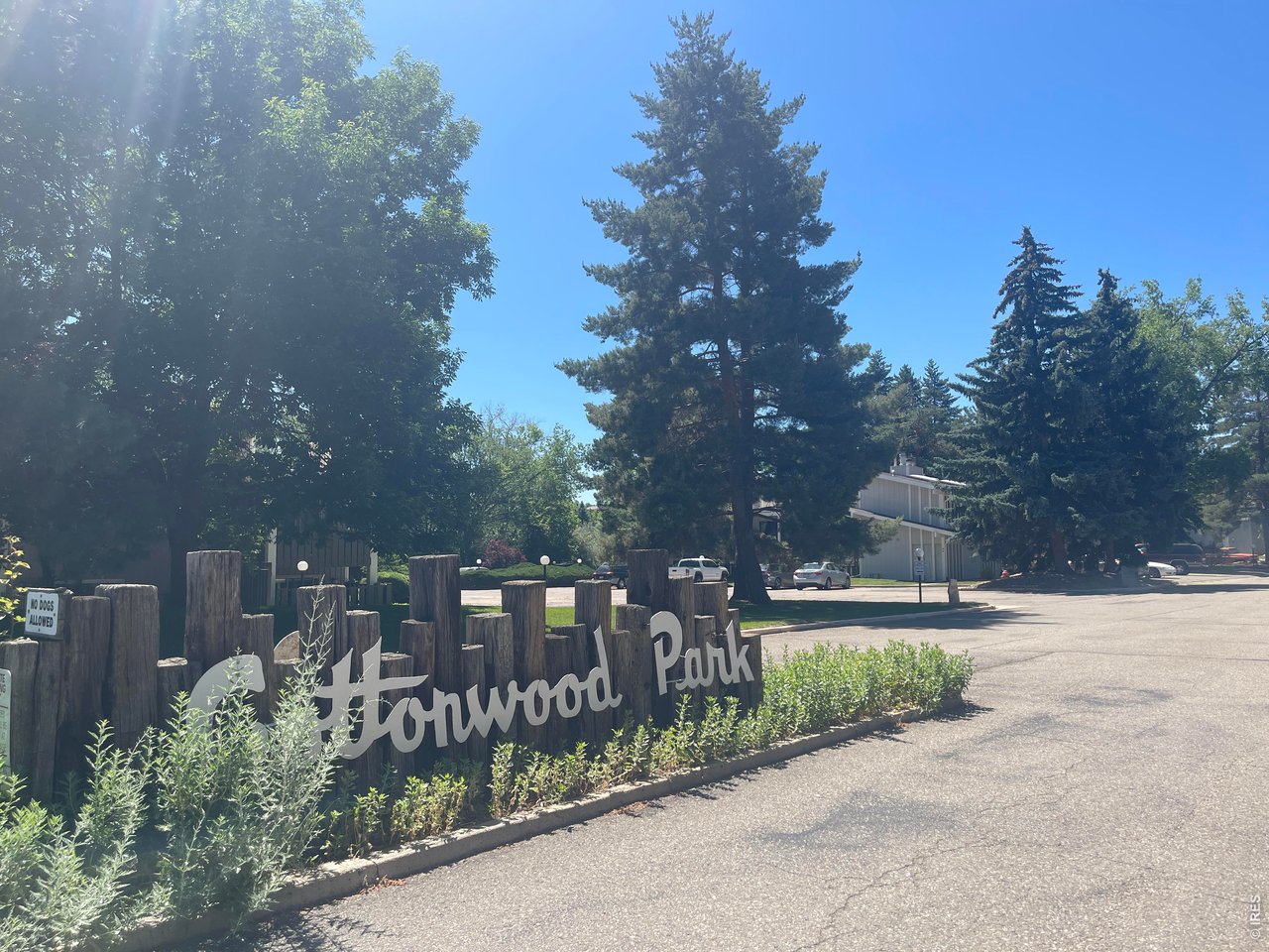 8060 Niwot Road, Unit 7E Niwot, CO 80503 - Photo 1 of 22 Mountain like atmosphere with all its mature trees