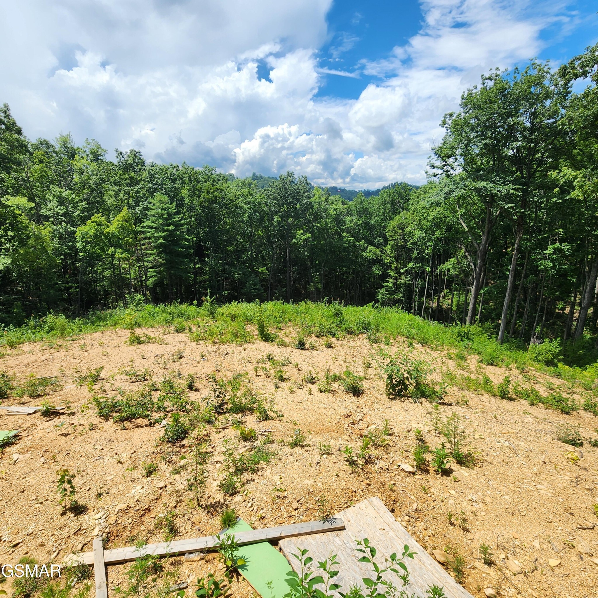 1970 Spurling Road Sevierville, TN 37862 - Photo 17 of 28 Gallery Image 17