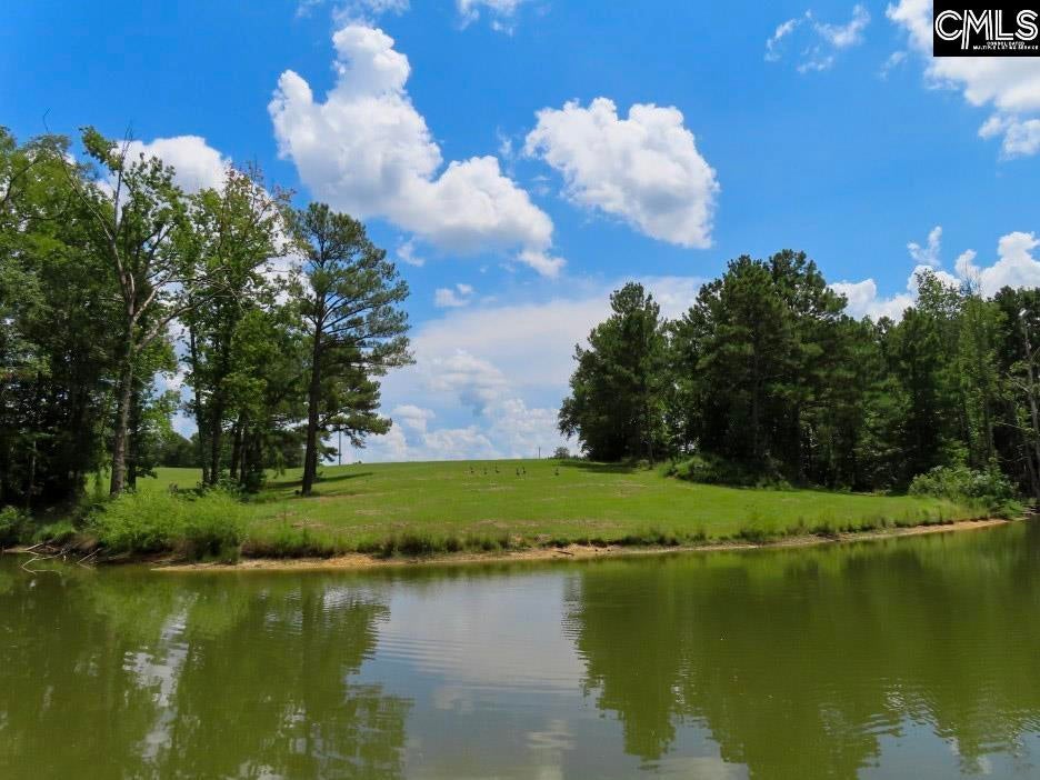 529 Martin Road Winnsboro, SC 29180 - Photo 72 of 83 Gallery Image 72