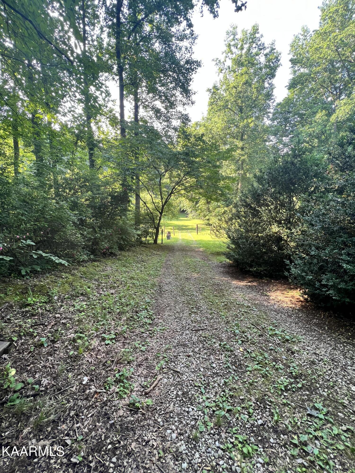 2240 Pleasant Ridge Road Talbott, TN 37877 - Photo 16 of 16 IMG_3932